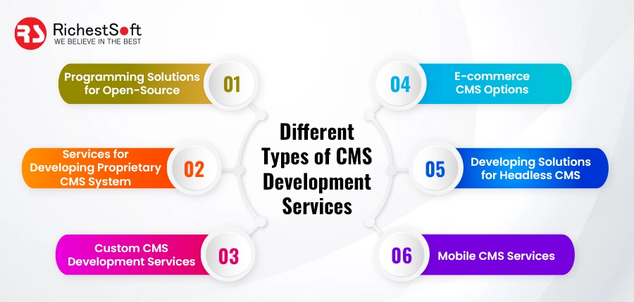 Different Types of CMS Development Services