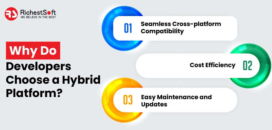 Why Do Developers Choose a Hybrid Platform?