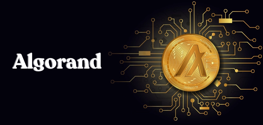 Algorand cryptocurrency