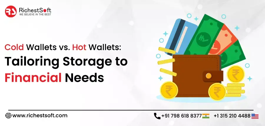 Cold Wallets vs. Hot Wallets_ Tailoring Storage to Financial Needs