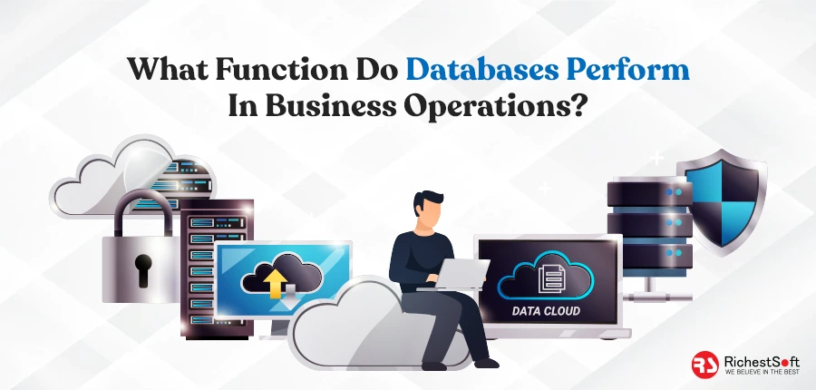 What function do databases perform