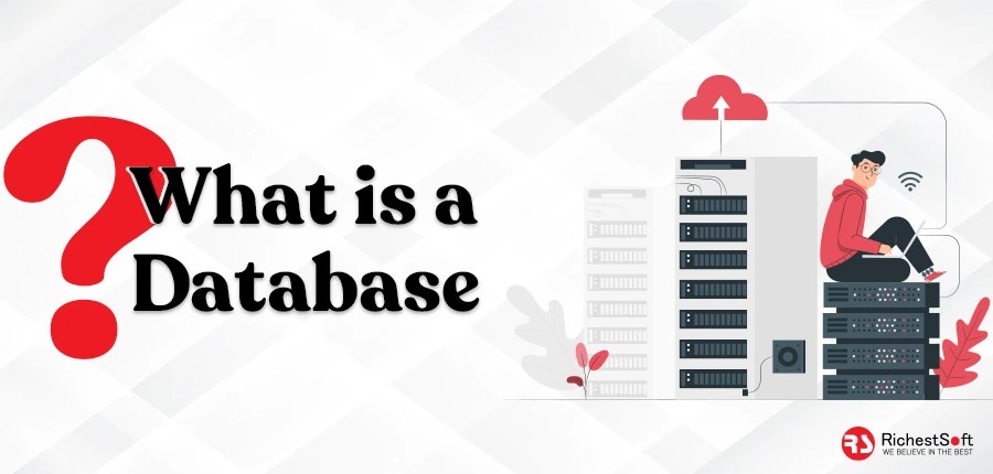 What is a database